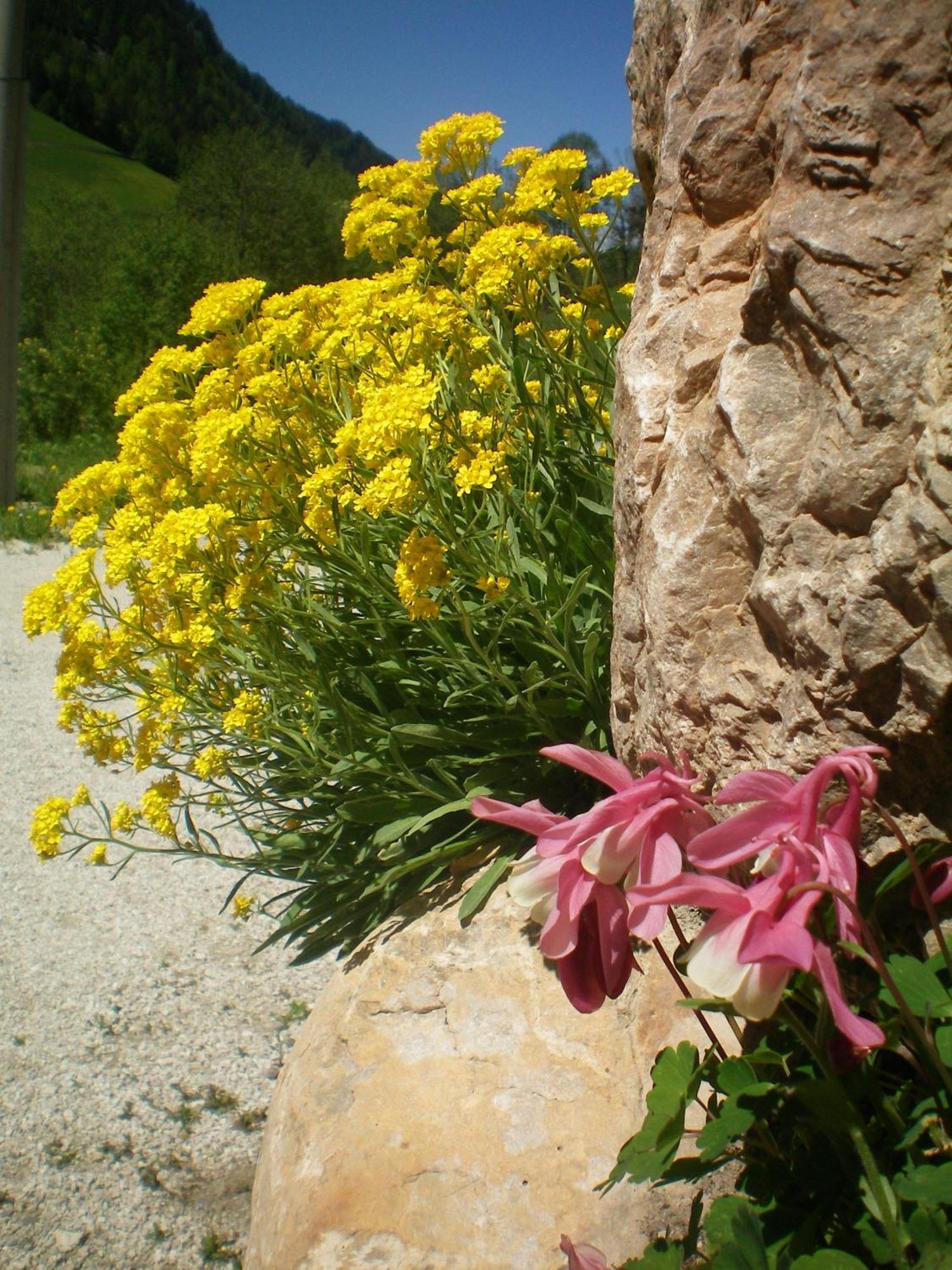 Villa Otto Santa Cristina Val Gardena Eksteriør billede