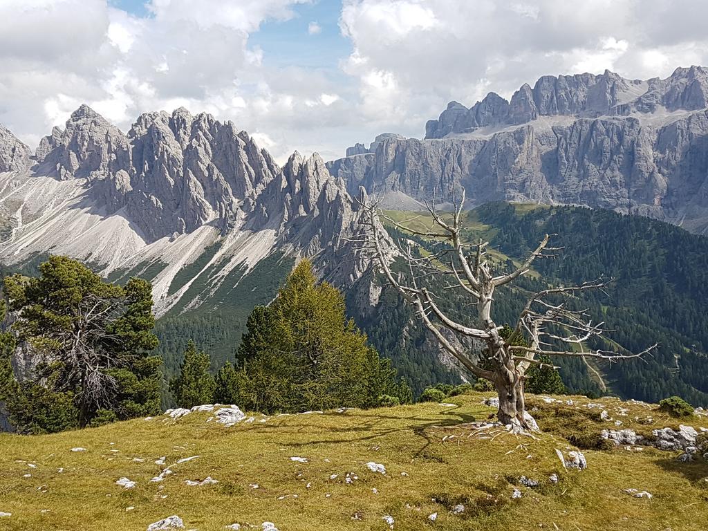 Villa Otto Santa Cristina Val Gardena Eksteriør billede